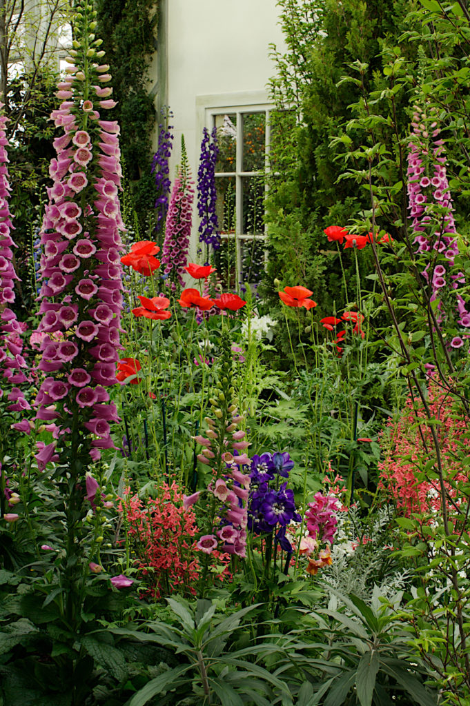 http://www.cdxnd.com/260081-english-cottage-garden-flowers