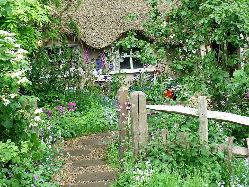 english-cottage-garden-flowers-es3vlxgi