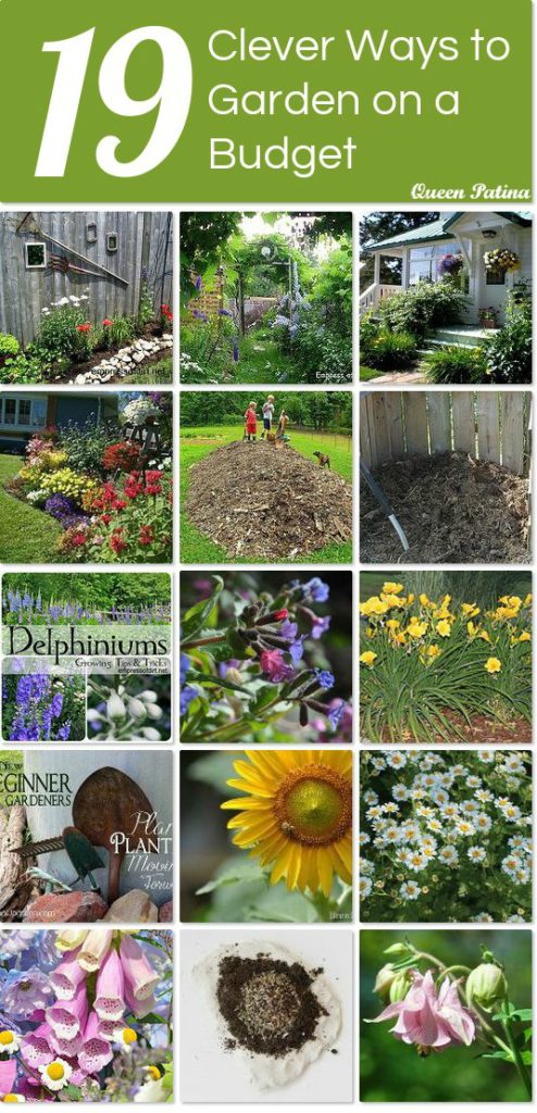 garden_on_a_budget (1)