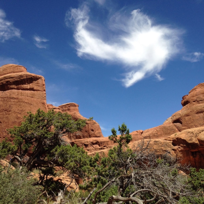Arches National Park, Moab UT