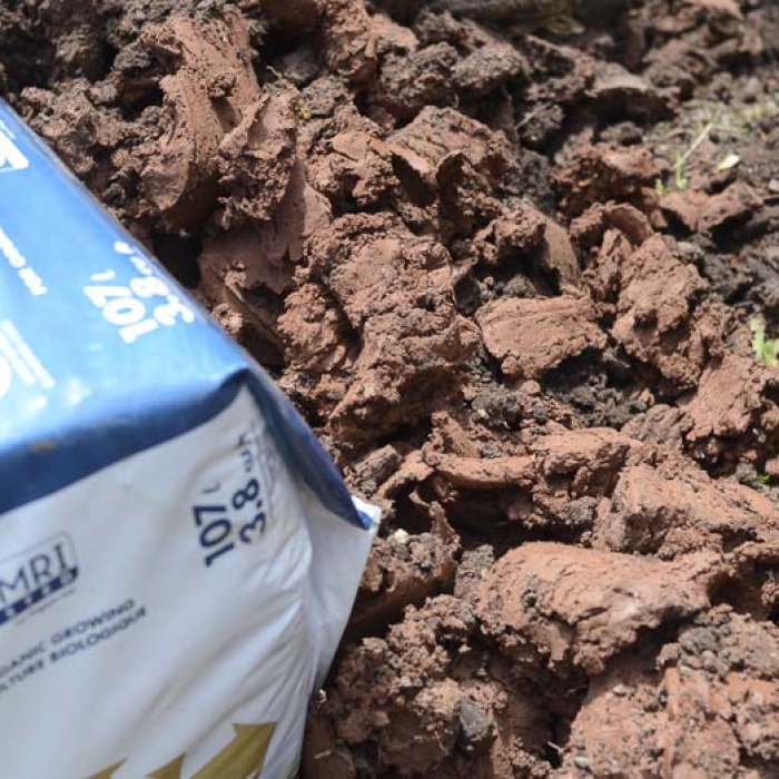 Lake Superior red clay