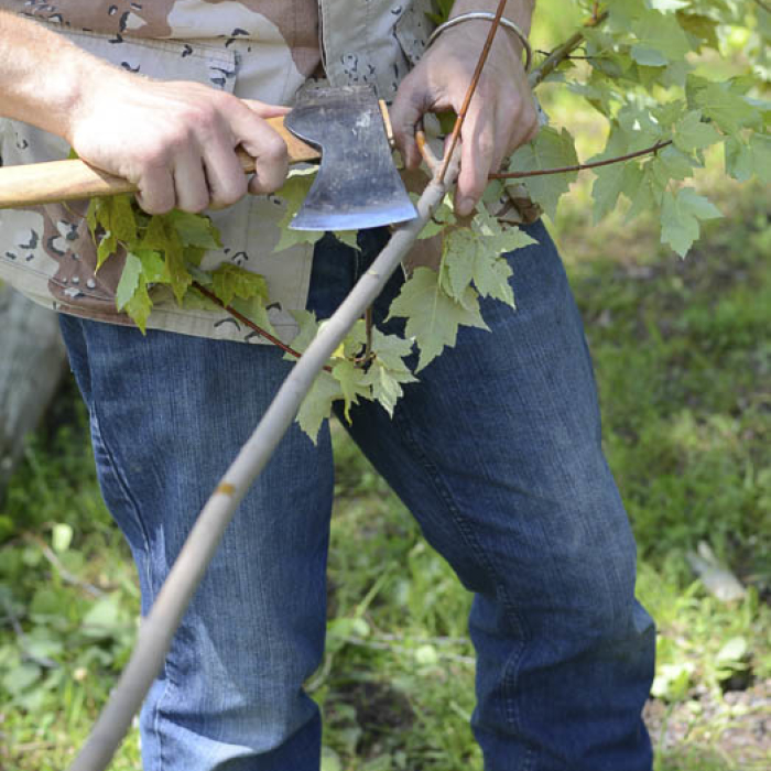 preparing the saplings for installation