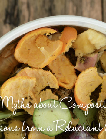 5 myths about composting